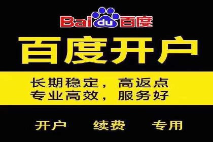 百度竞价公司案例分析：提升转化率的策略